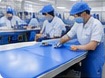 Cutting Inspection